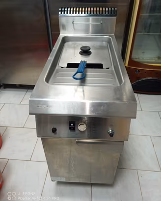 friggitrice professionale 