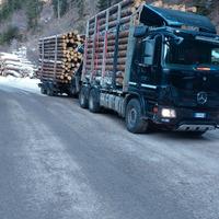 Camion con gru da legname