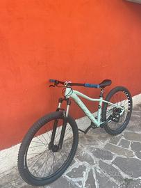 Scott contessa 2017