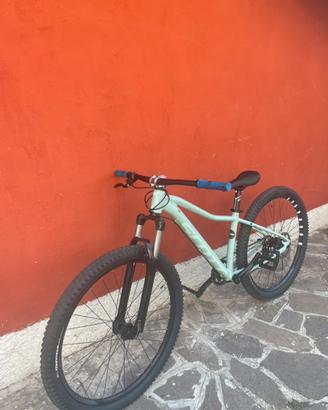 Scott contessa 2017