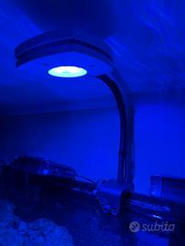 Ai Prime 16 HD reef lampada per acquario marino