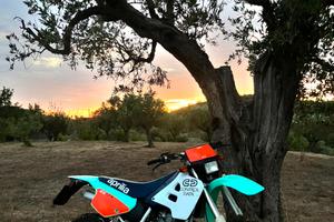 Aprilia rx 125