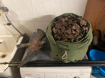 attrezzatura caccia da campo