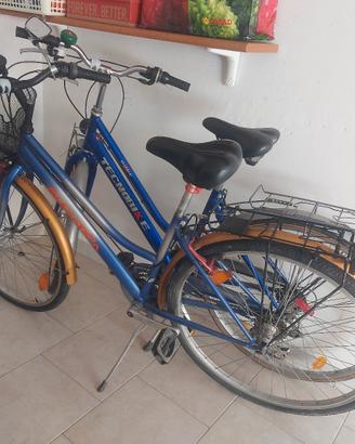 coppia bici da città 