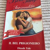 Libro  vintage anno 1996