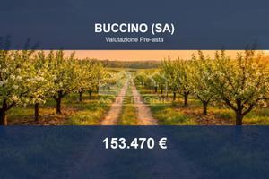 Immobile in asta di 25090 m² a Buccino