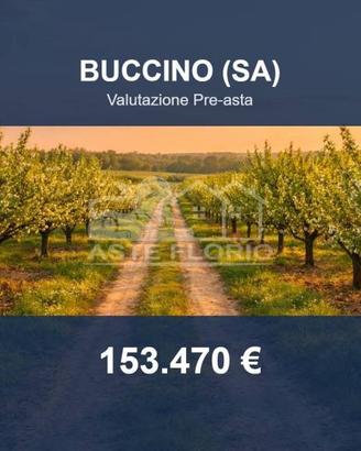Immobile in asta di 25090 m² a Buccino