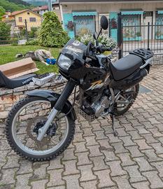 Honda dominator 
