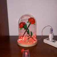 LEGO illuminata