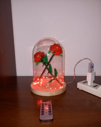 LEGO illuminata
