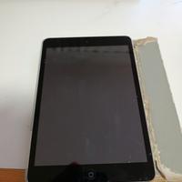 iPad mini