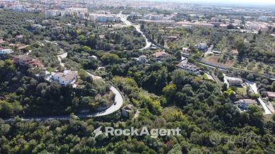 TERRENO AGRUMETO ULIVETO CON CASA COLONICA