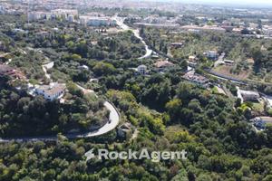 TERRENO AGRUMETO ULIVETO CON CASA COLONICA