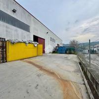 CAPANNONE A TORTORETO