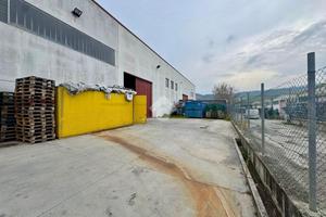 CAPANNONE A TORTORETO