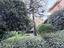 Immagine 10