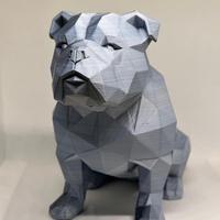 Bulldog Inglese Low Poly 3D – Decorazione Moderna