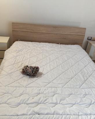 Camera da letto completa di armadio