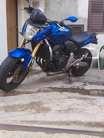 Honda Hornet