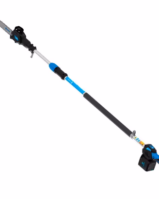 Potatore Campagnola T-Rex 250-300 a batteria