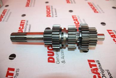 Albero Trasmissione Primario Ducati Monster / SS