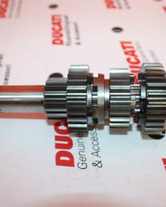 Albero Trasmissione Primario Ducati Monster / SS