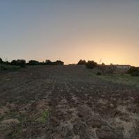 Terreno agricolo S. Venere Rocca Imperiale