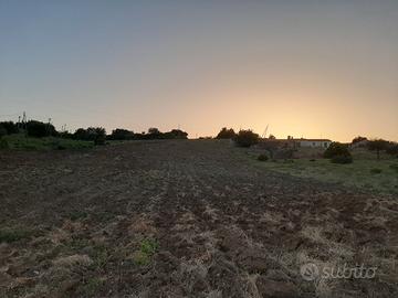 Terreno agricolo S. Venere Rocca Imperiale