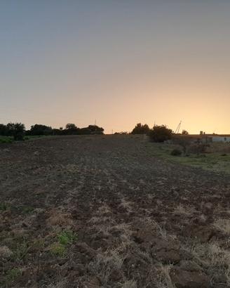 Terreno agricolo S. Venere Rocca Imperiale