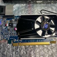 Scheda video Sapphire HD6500 1Gb GDDR3