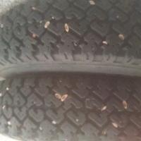 Gomme invernali per panda 145/80/13