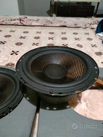 Axiom wfx 165 woofer