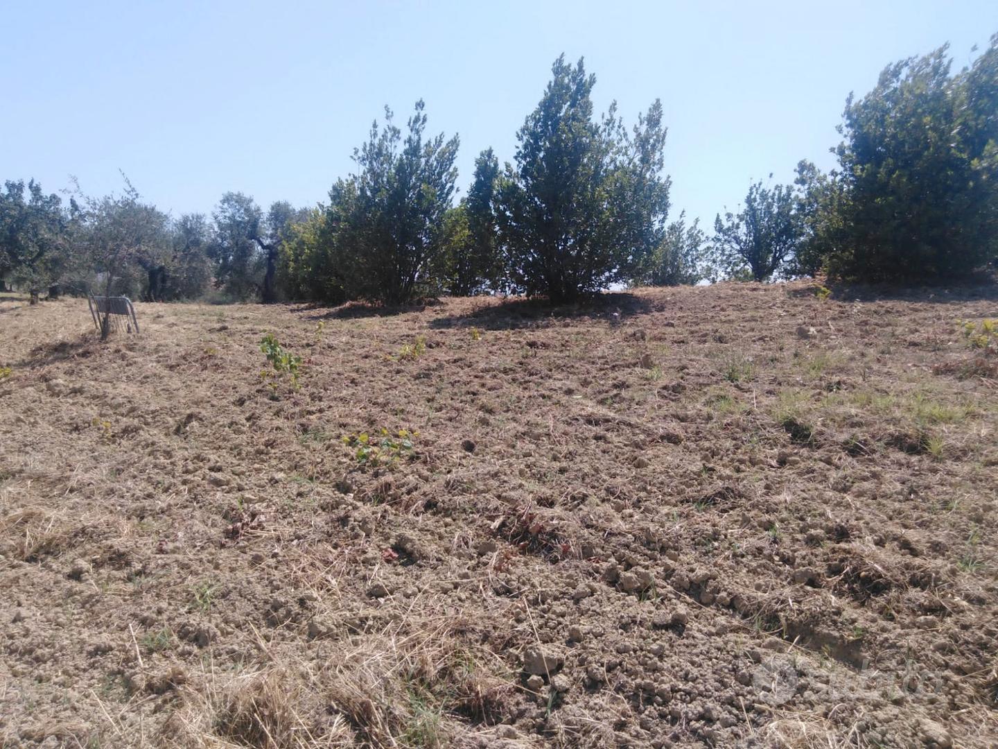 Rif. 223b terreno a moscufo - Vista 2