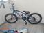 Immagine 1