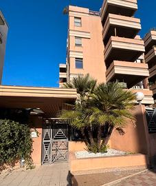 Ampio appartamento piano terra