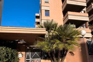 Ampio appartamento piano terra