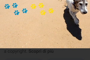 Nello's house Costarey