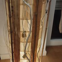 Lampada etnica