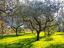 Immagine 10