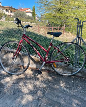 Specalized crossroads
