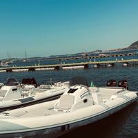 Gommone shiver molinar 32