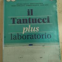 il tantucci plus laboratorio 1
