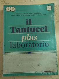 il tantucci plus laboratorio 1