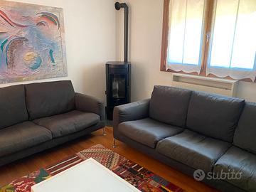 Coppia di divani B&B modello Harry