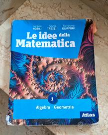 le idee della matematica 1