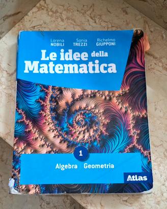 le idee della matematica 1