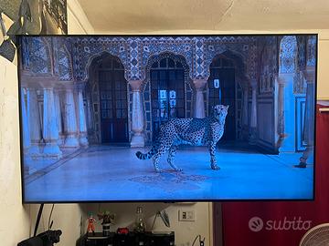 Samsung SmartTV 55”4K Crystal UHD+staffa da parete