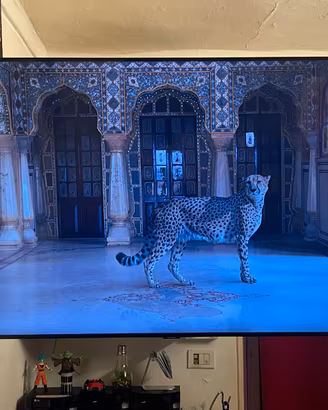 Samsung SmartTV 55”4K Crystal UHD+staffa da parete