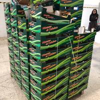 Cassette cartone per ortofrutta, impilabili, varie