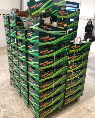 Cassette cartone per ortofrutta, impilabili, varie